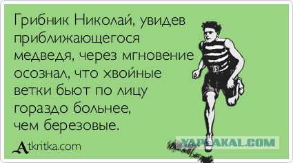 Подборка позитивных картинок на выходные