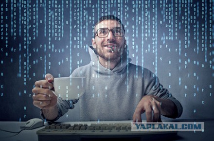 Айти — это работа для сумасшедших.
