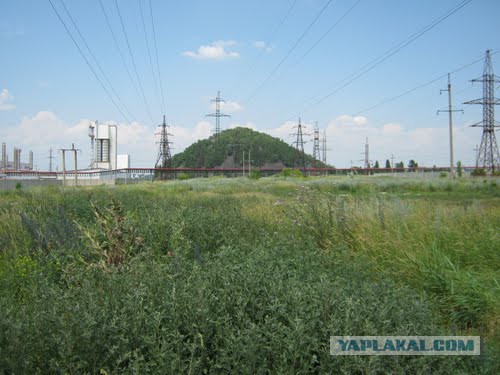 Джен Псаки нашла в Ростовской области горы