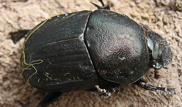 17 удивительных фактов о Вселенной