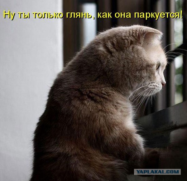 Девушка, которая боится ездить задним ходом