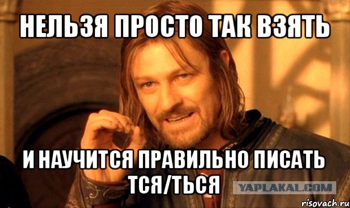 Беспредел котовский! 18+