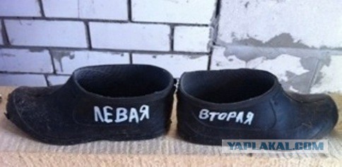 Моя подборка веселенькой мути