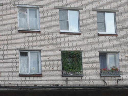 Весёлые картинки