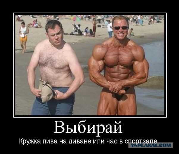 Полные мужчины сексуальнее