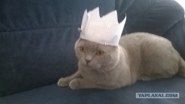 Я в положительном удивлении
