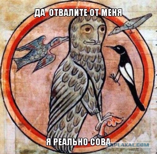Средневековое веселье