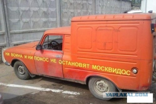 Надписи на авто.