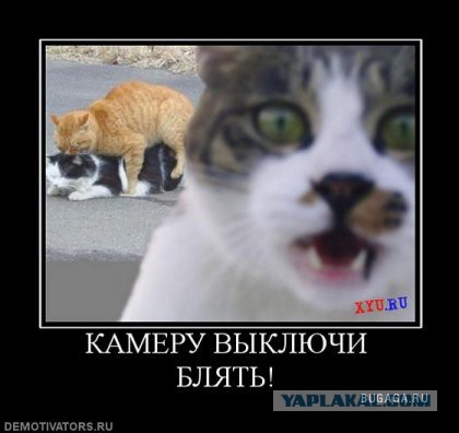 ВдуваютЪ