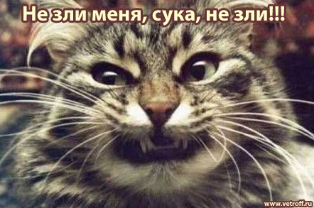 Обидели котейку? Получите, распишитесь!
