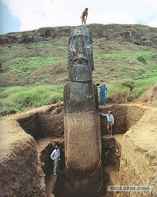 Нас обманули, расходимся
