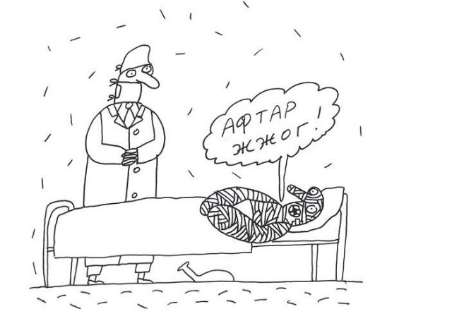 Неадекваты на Ауди...
