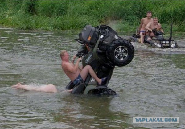 Лето в полном разгаре