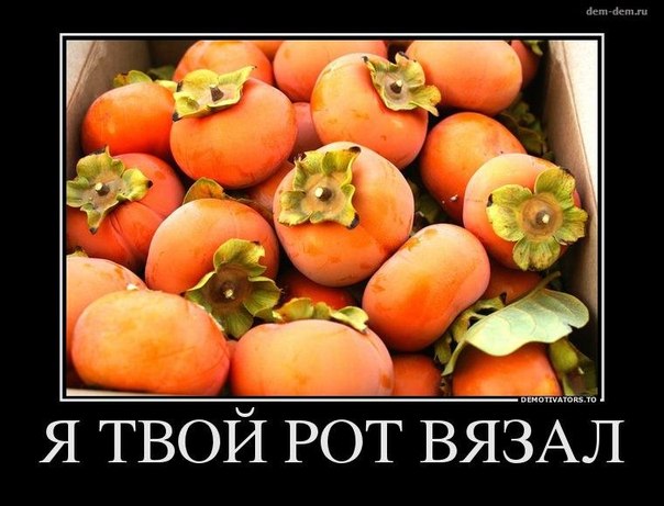 Забавные картинки из Сети