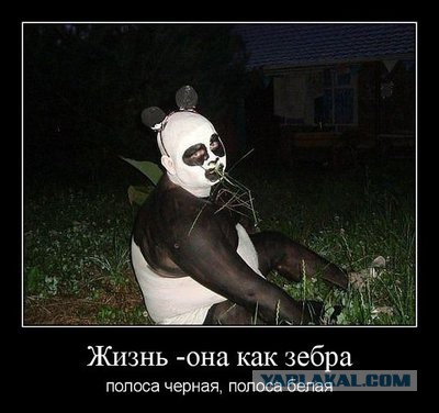 20 самых мощных социалок года