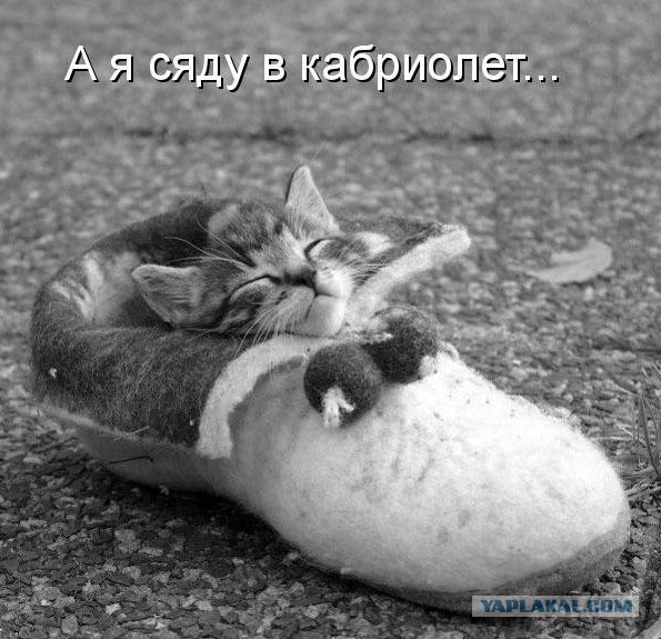 Немного картинок и демотиваторов