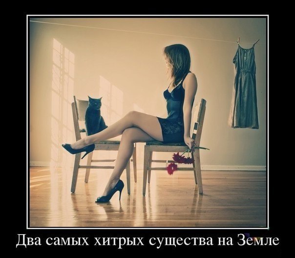 Подборка прикольных фото на пятницу