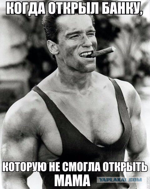 Забавные картинки из Сети