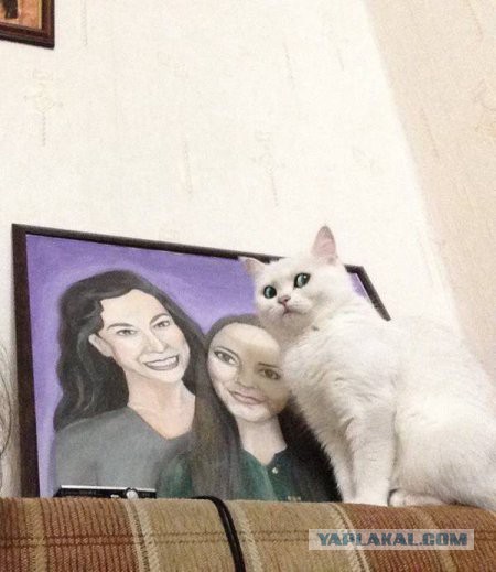 Картинки