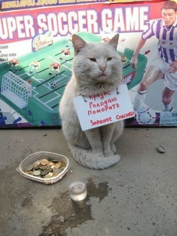 Свежая, утренняя, подборка картинок.