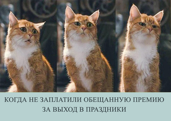 Картинки с надписями