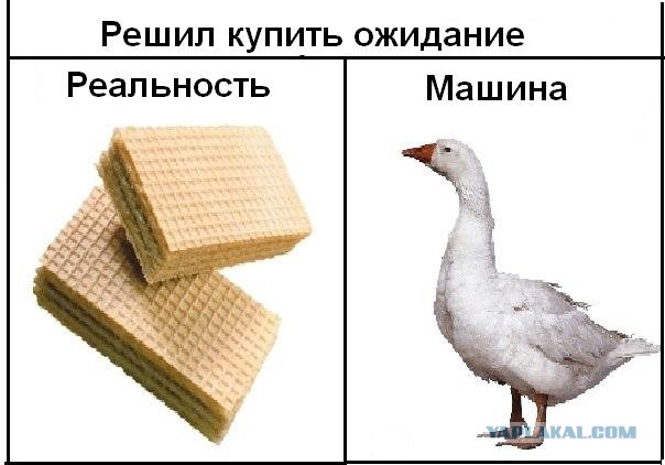 40 улыбательных картинок