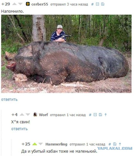 Смешные комментарии из социальных сетей 01.04.2016.