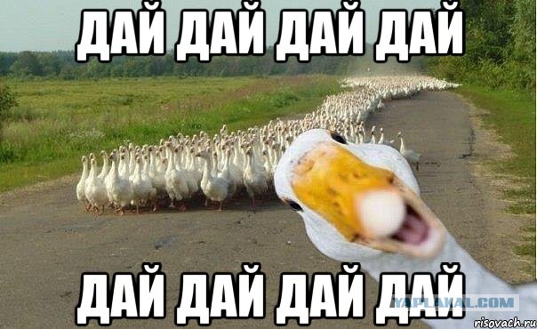 Россияне оказались самыми нетерпимыми к беженцам