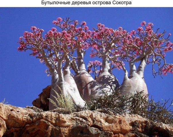 Разные фото. Прикольные и красивые