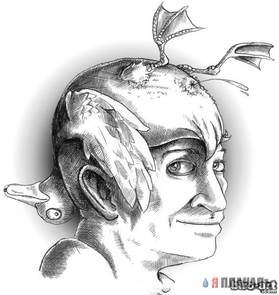 Рисунки. Карандаш