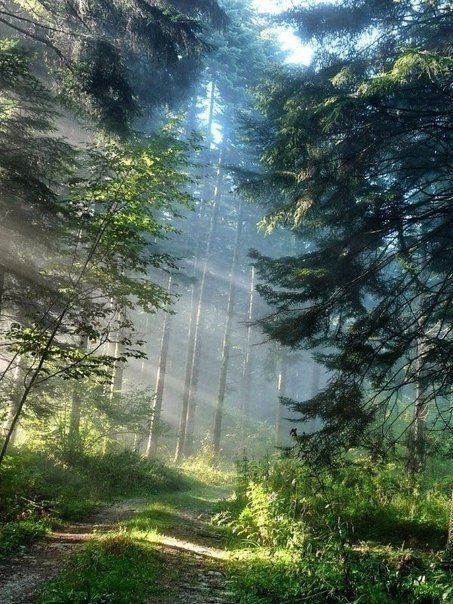 Картинки для отдыха глаз