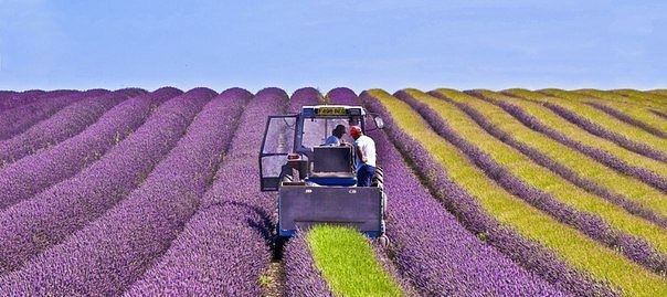 Картинки для отдыха глаз
