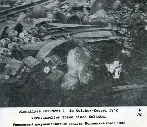 Волховский фронт. 1942. Взгляд с той стороны.