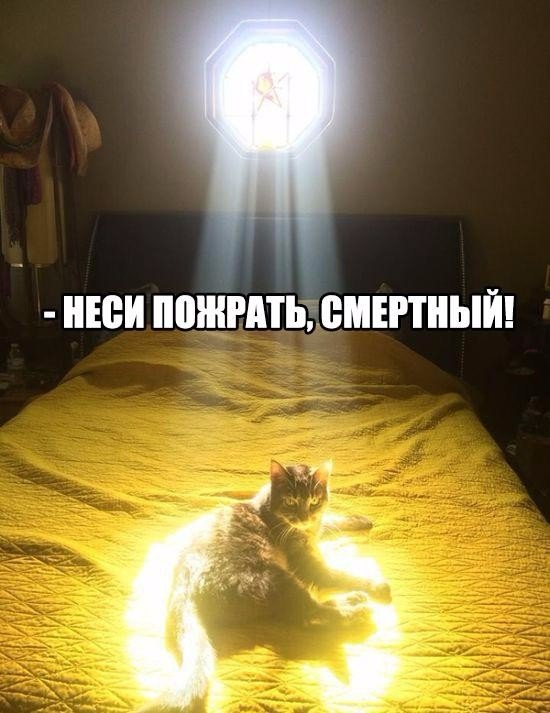 Разные картинки из сети