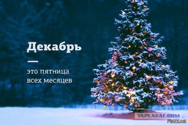 Подборка интересных и веселых картинок