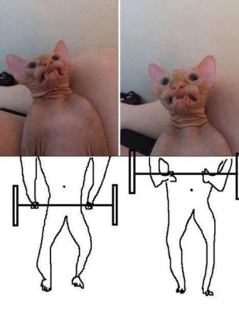 Немного картинок
