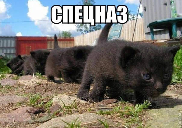 Все друг друга поняли (Смехопанорама)