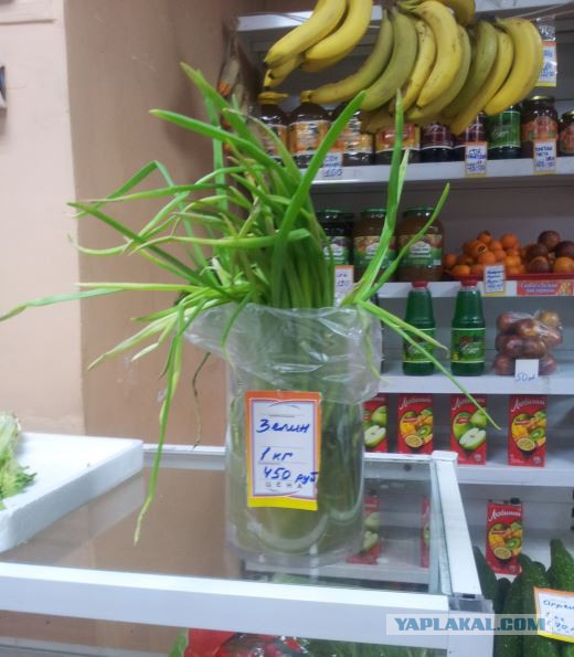 Мы живём в самой прекрасной стране на свете