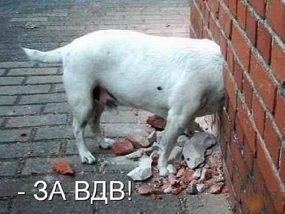 ВДВ СССР