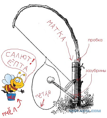 Помогите определить неведому фиговину