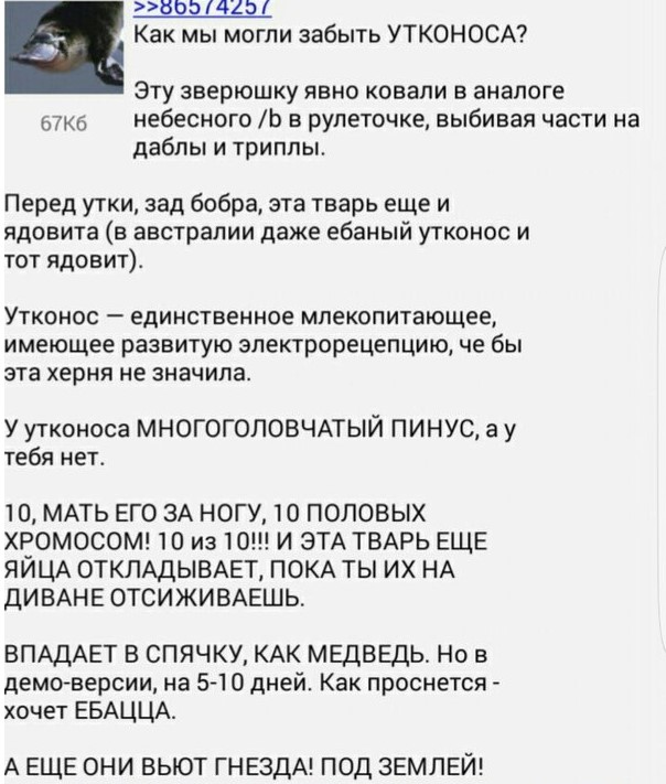 ЖМЖ поневоле