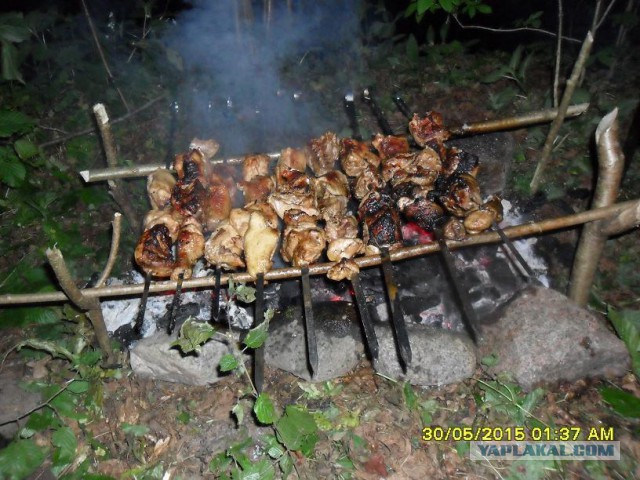 Академия шашлыка