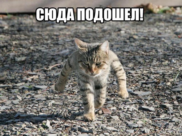 За что такие пенсии? Войны-то не было!