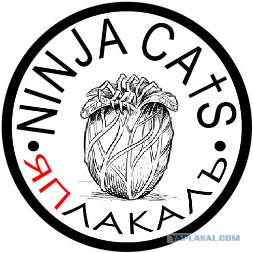 Коты - нинзя