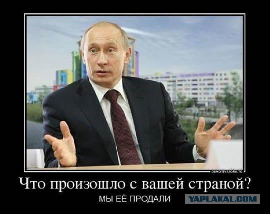 Школьники в регионах РФ запустили флешмоб с надписью «Путин — вор»