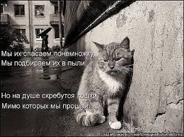 Люди, не бросайте их!