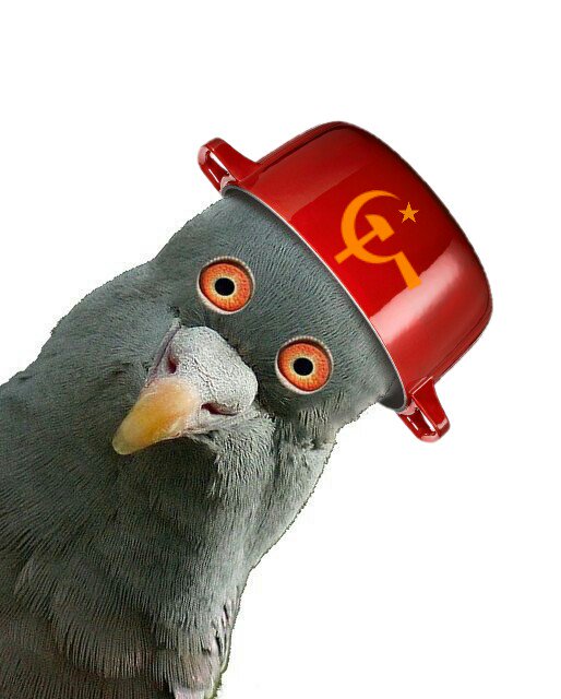 Социализм, хотим? ч.2