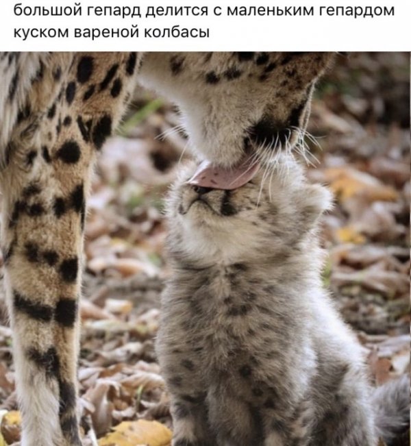 Немного картинок для настроения
