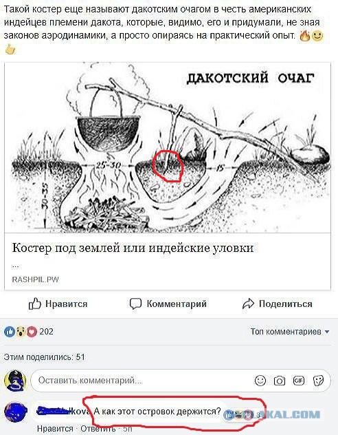 Прикольные комментарии и высказывания из Сети 23. 01.