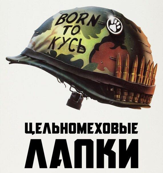 Подборка интересных и веселых картинок 17.03.19
